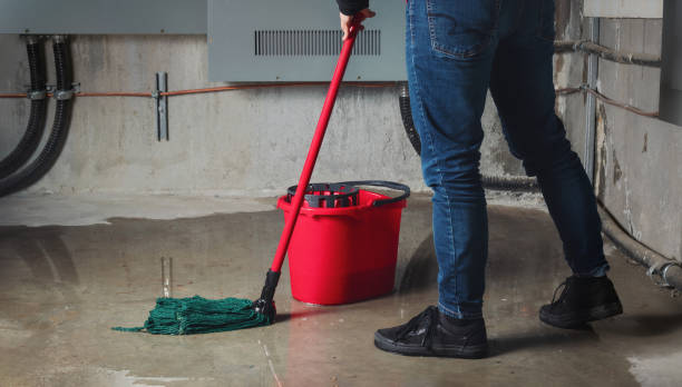 Best Basement water damage restoration  in White City, OR