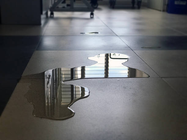 Best Water damage restoration near me  in White City, OR